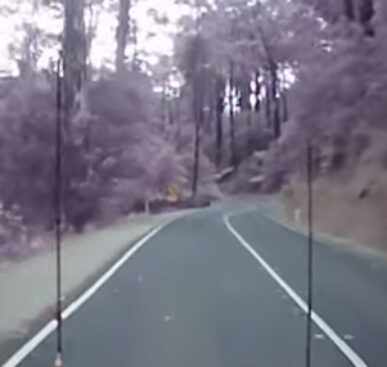 Watch The Scary Moment When Trees Come Crashing Down On A Highway