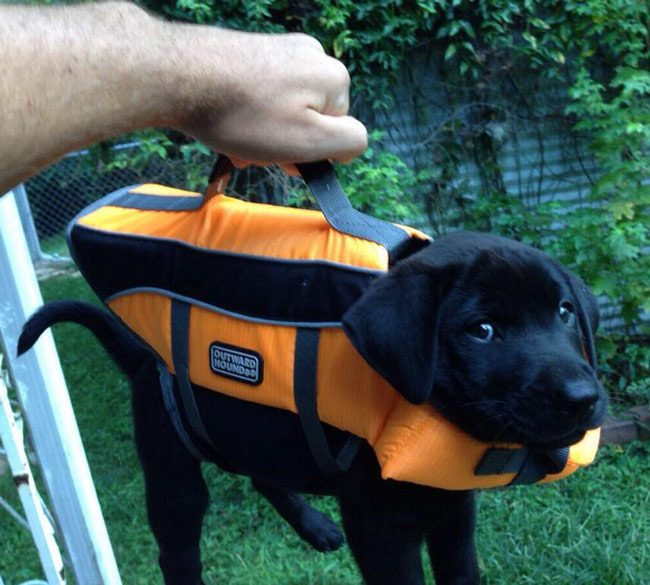 Briefcase with important lab results.