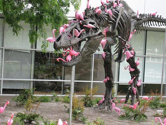A stand of flamingos can pick a T-Rex clean in under twenty minutes.