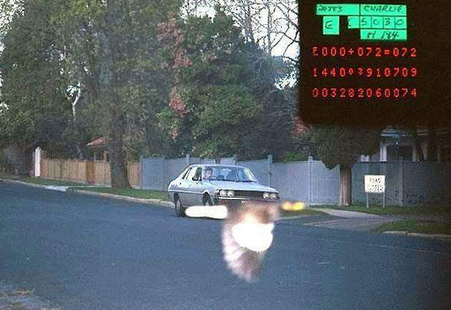 Bird foils police speed camera