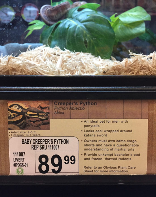 Creepers Python