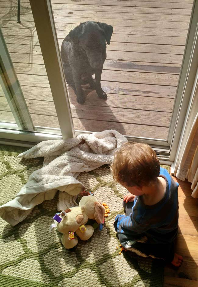 My son feeding goldfish to his toy dog while his real dog sits outside, pissed.