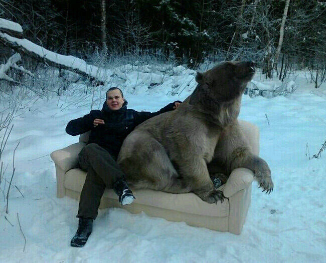 Meanwhile in Russia..