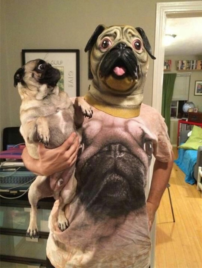 I would be just as terrified as the pug on the left.