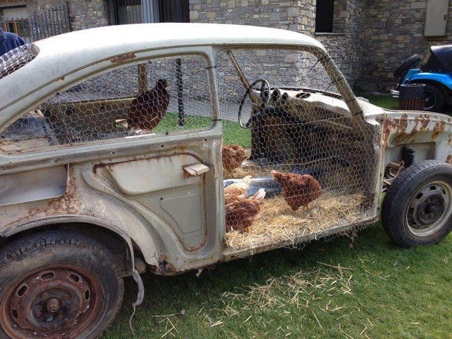 Chicken coupe.