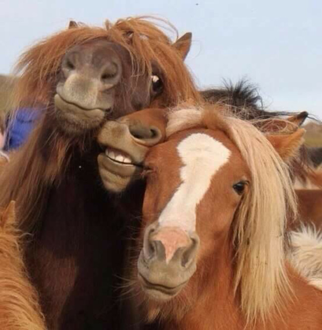 Drunk girls selfies.