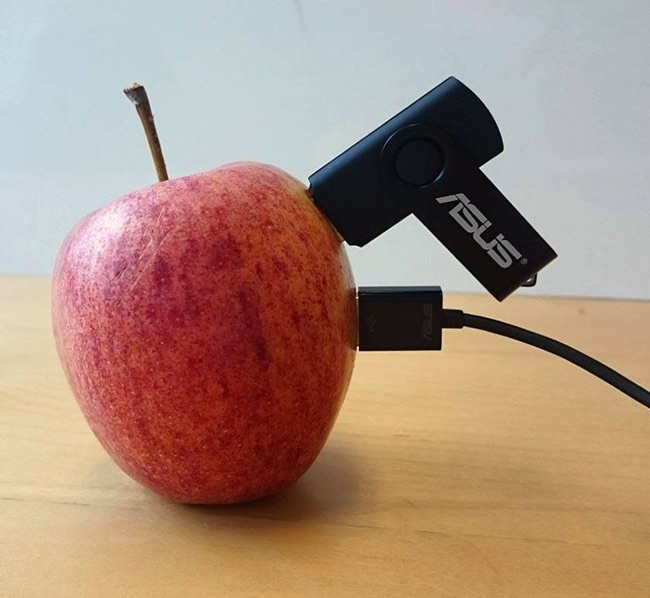 Asus Denmark just posted this on their fb page, saying they found an apple that could easily fit 2 USB-devices.