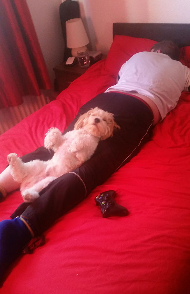 Found my boyfriend and dog taking a nap like this.
