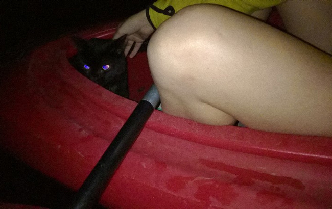 kayaking Cat
