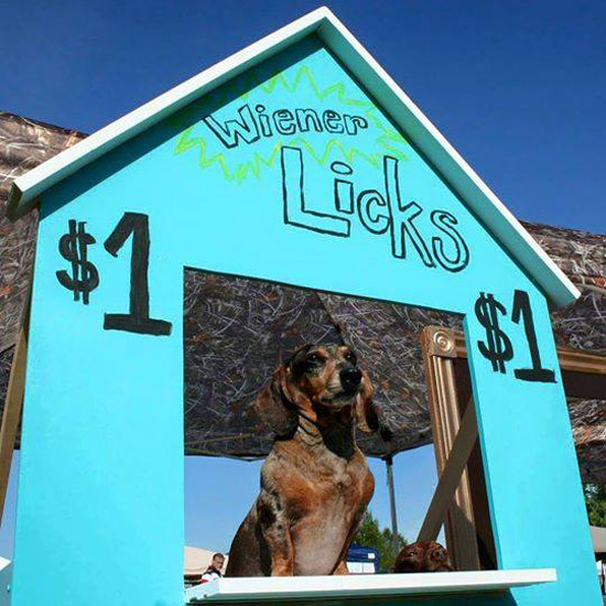 Wiener licks $1