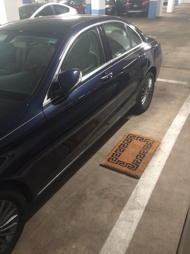 Car doormat