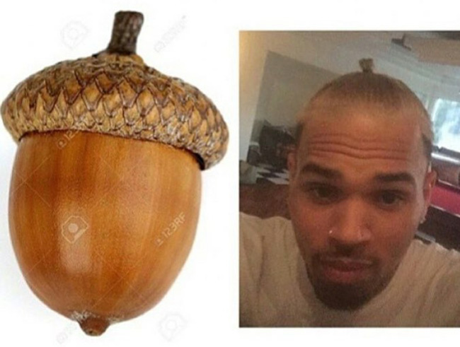 I think Chris Brown is trying to become an acorn