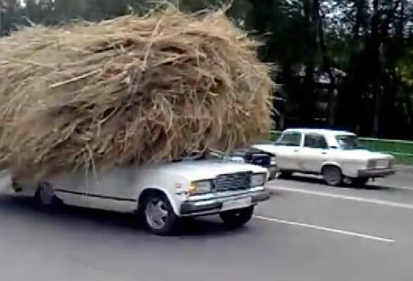 Just saw Donald Trump driving down the road campaigning