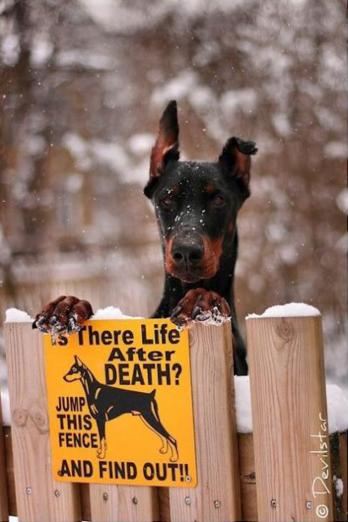 Is there life after death?