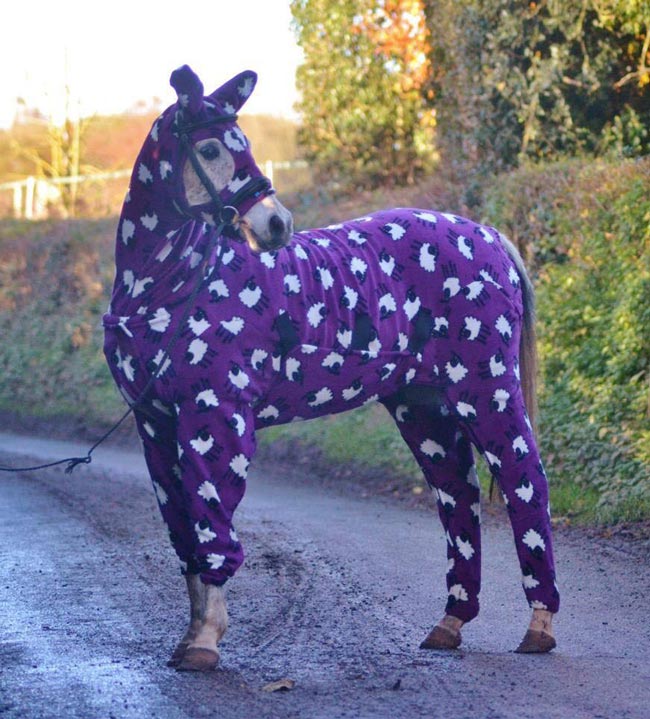 Horse wearing pajamas