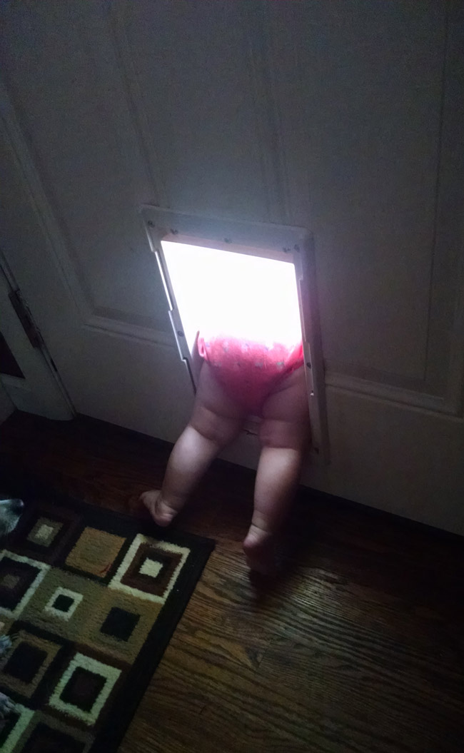 My daughter just discovered the doggy door..