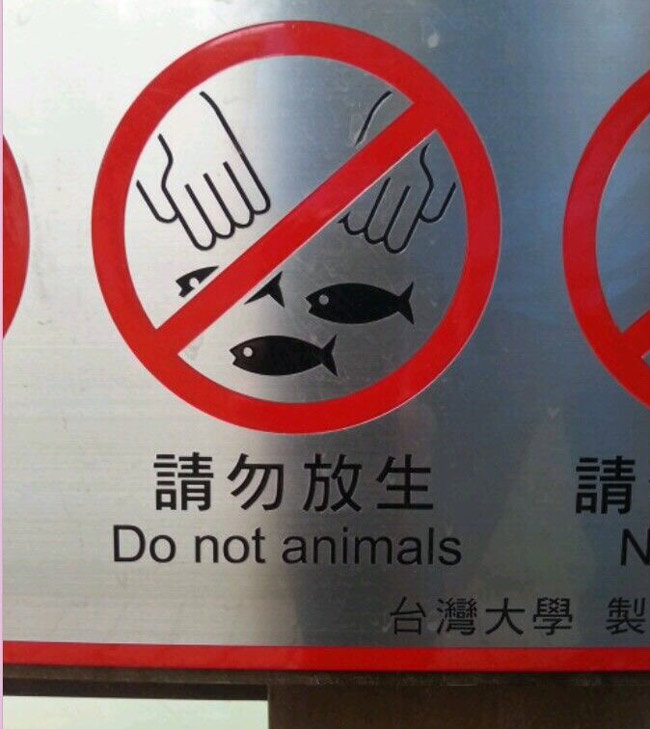 Do not animals