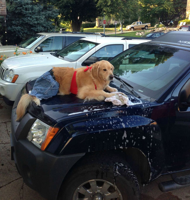 Bikini Carwash