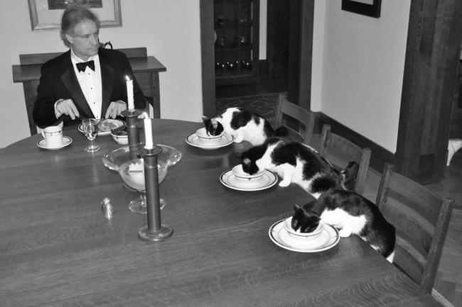 When my wife leaves town, I get bored. Six days into her vacation I joked "I'm going to have a formal dinner with the cats." Then I thought about it for a while..