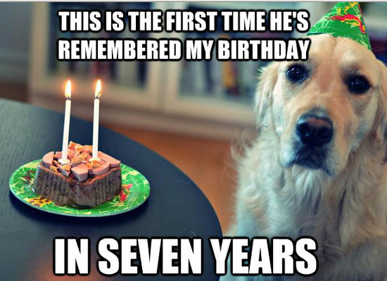 Doggie birthdays