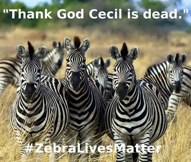 Zebra Lives Matter