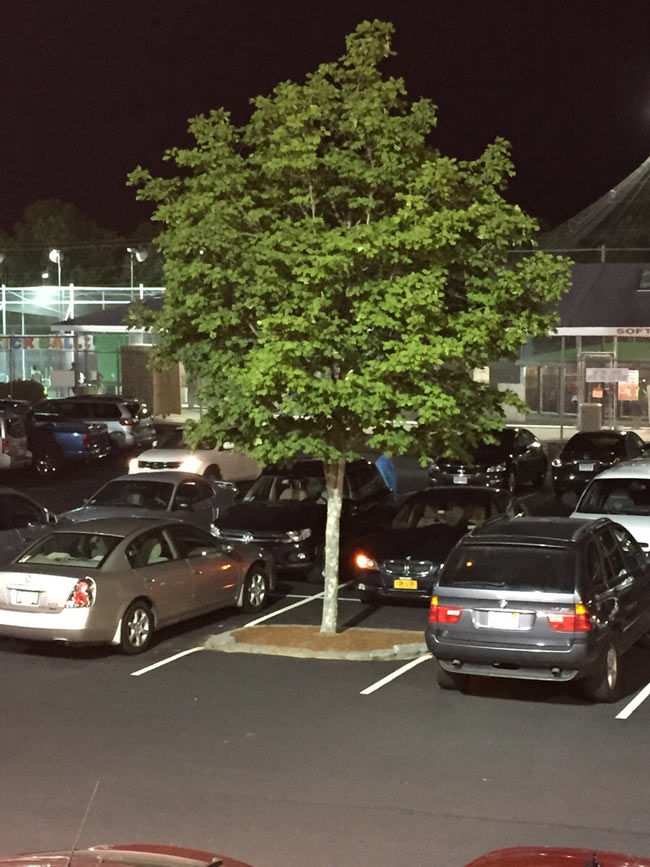 This asshole has been taking this spot for over a year