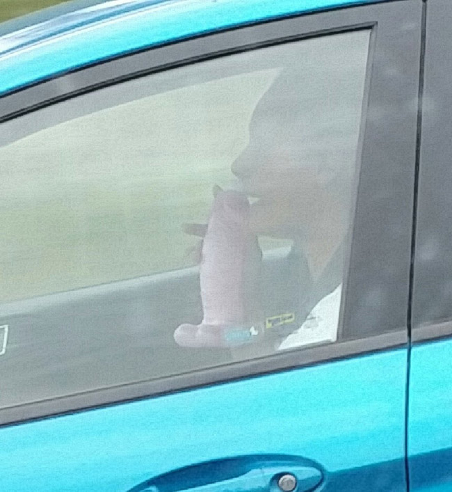 I too, sing into dildos on the highway.