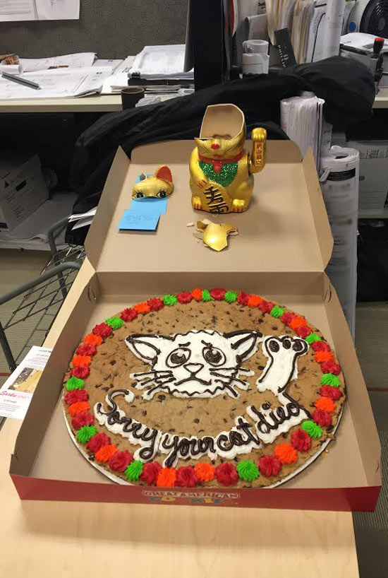 Someone broke the office lucky cat and left an apology cake