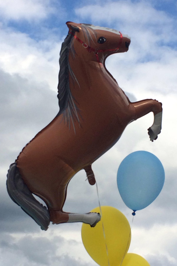 Balloon at a 5 year old's "cowboy birthday party"