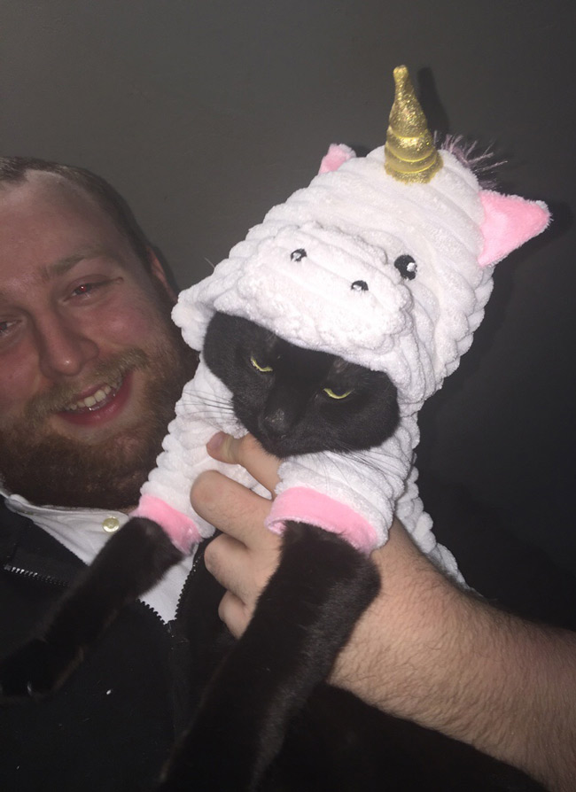 My wife bought a costume for our dog. It was too small, so we tried it on the cat.