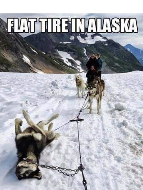 Alaskan flat tire