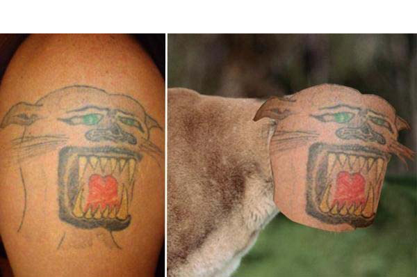 Cougar tattoo