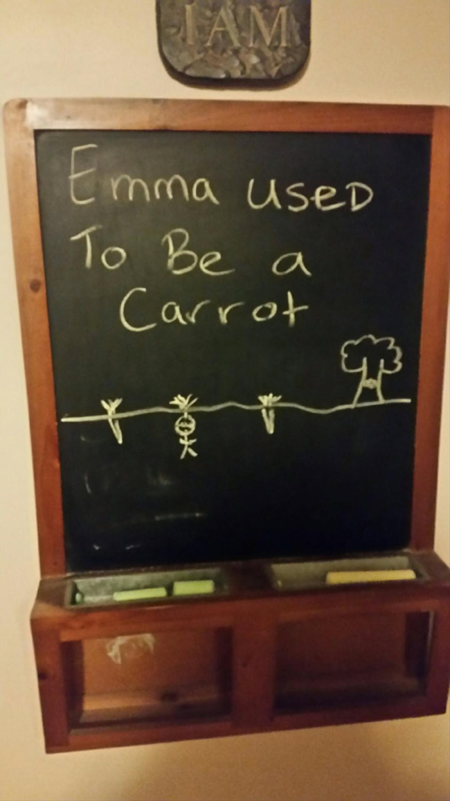 My brother teases our little sister with chalkboard drawings every day. This was today's