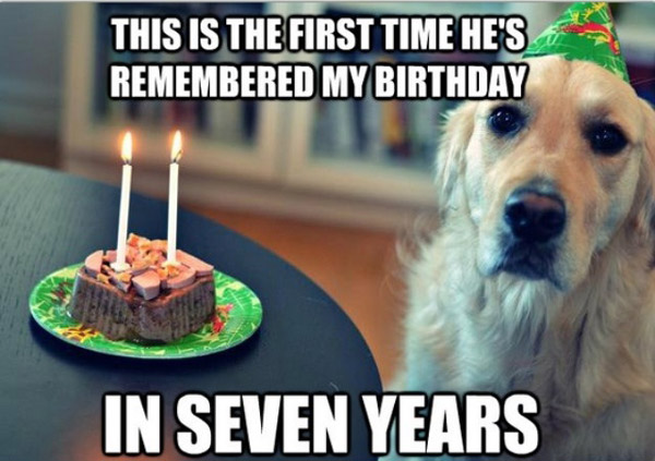 Dog birthdays