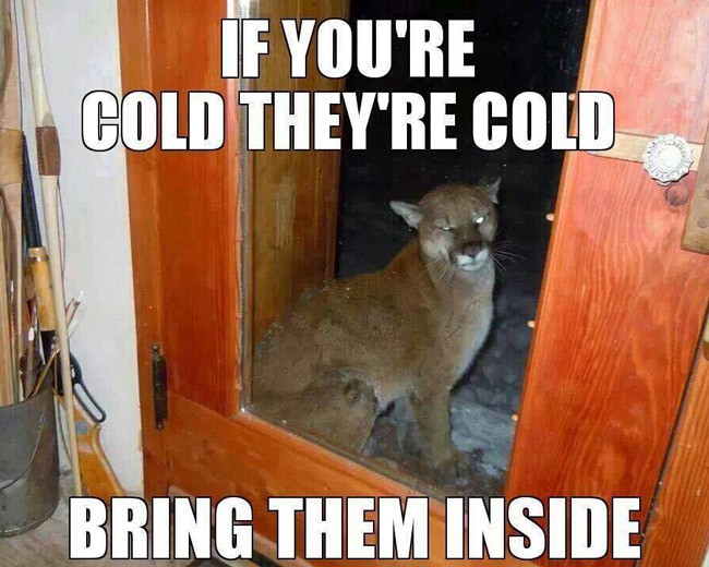 It's getting close to winter. Don't forget about your animals