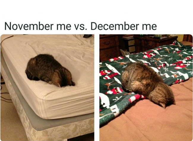 November vs December