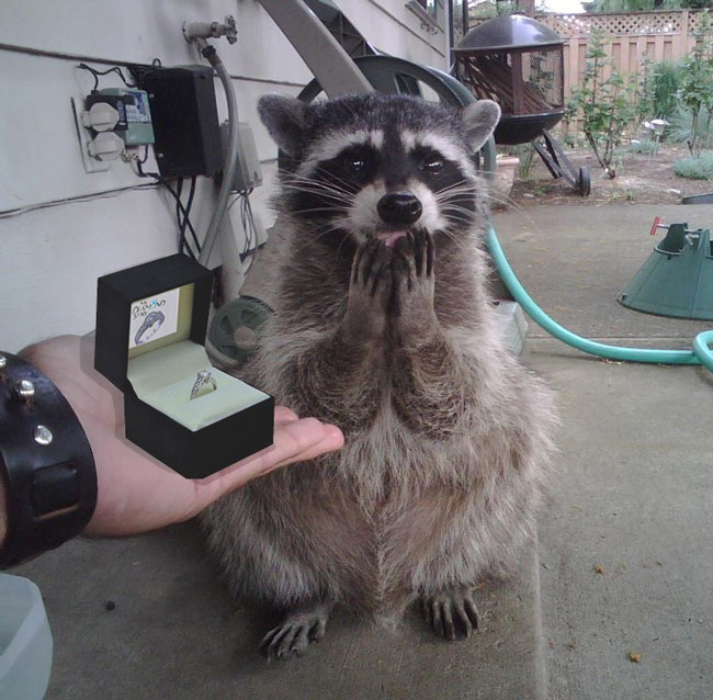 She said yes and made this face