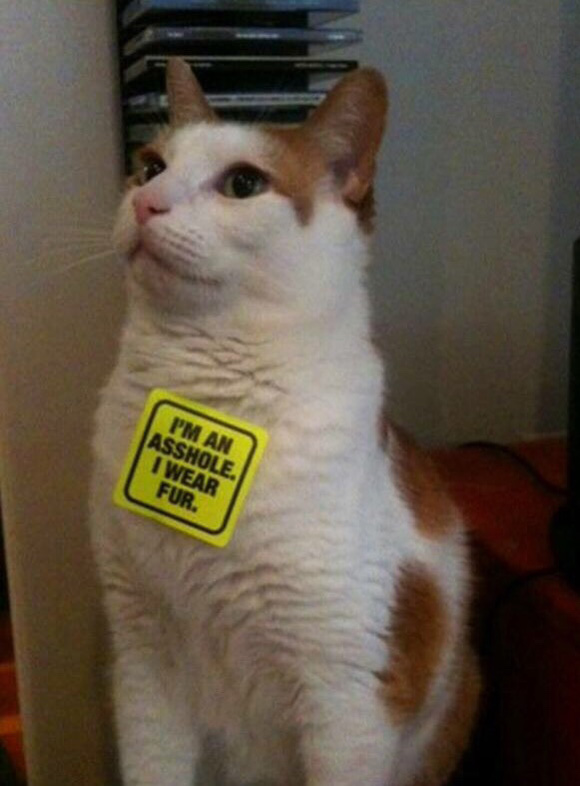 The right way to use peta's stickers