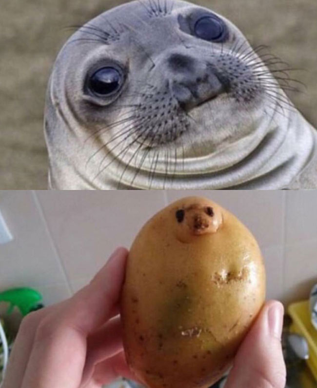 I looked at my potato and...