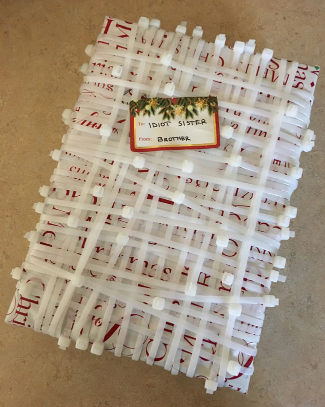100 zip ties and definitely worth it!