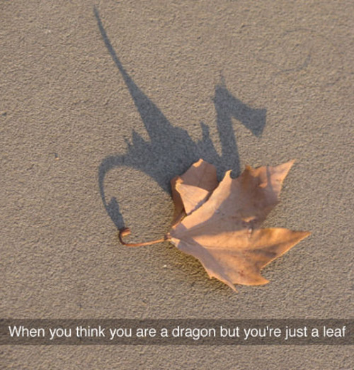 Dragon leaf