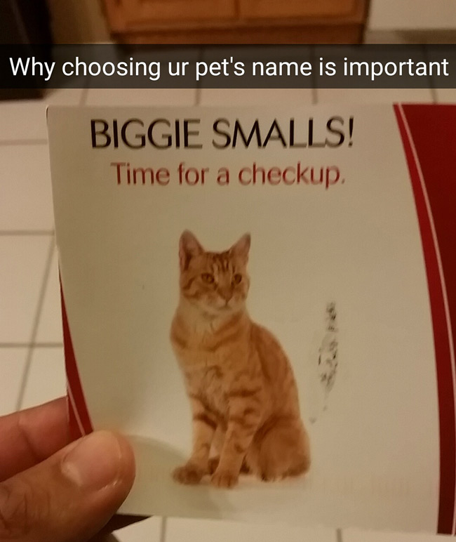 I love getting mail from my vet