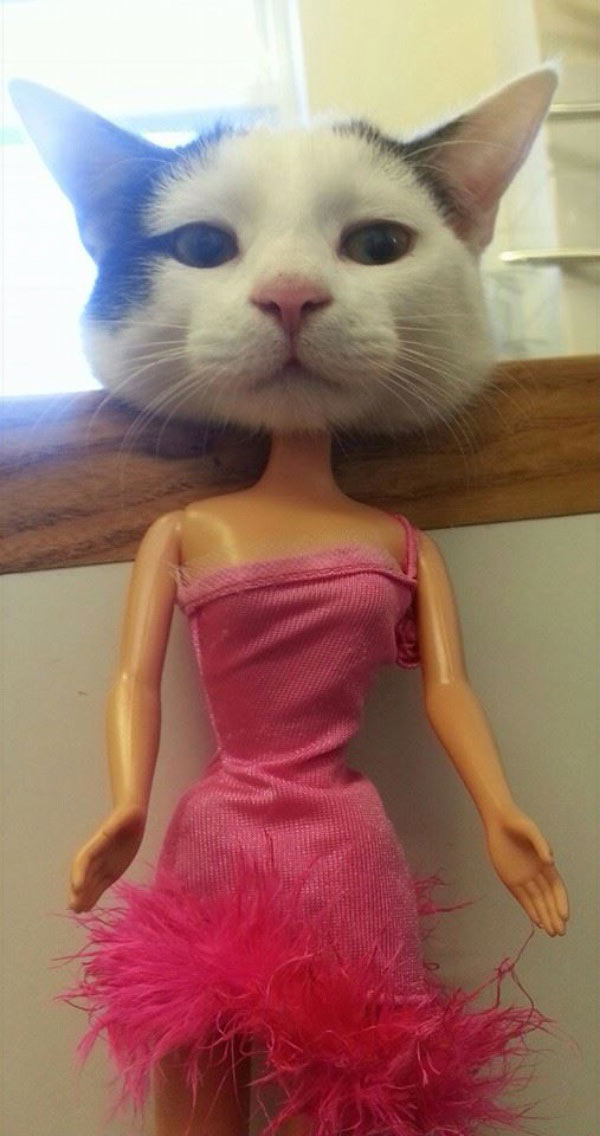 Yet another unrealistic standard of beauty for women
