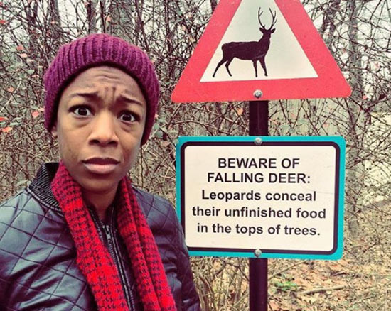 But no warnings about leopards...?