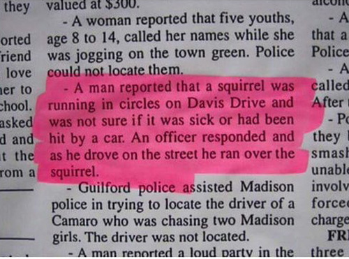 Stupid cop, poor squirrel