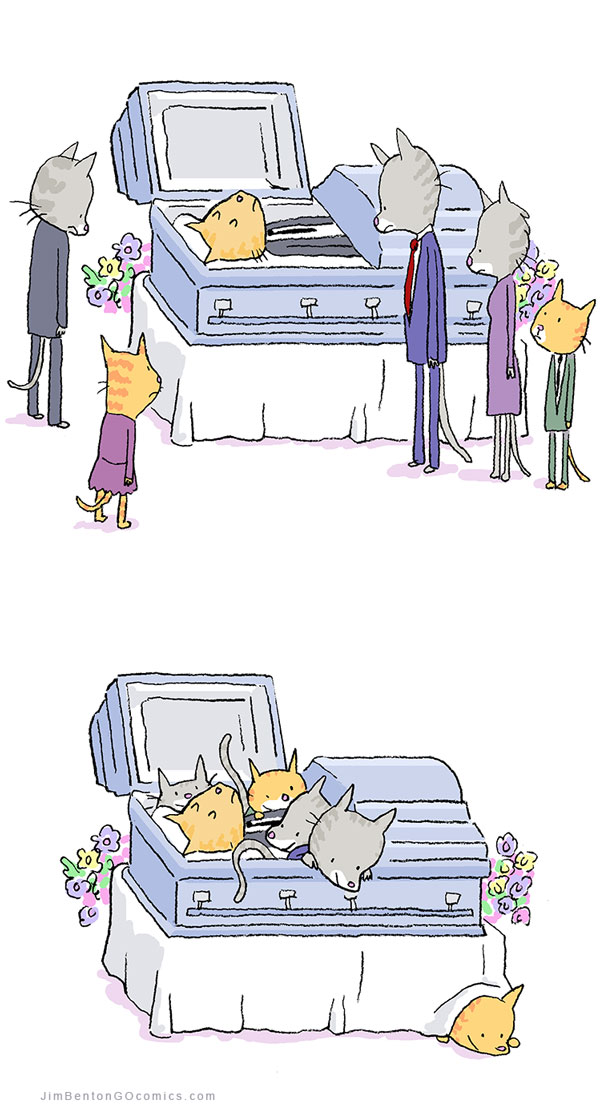 Cat funeral