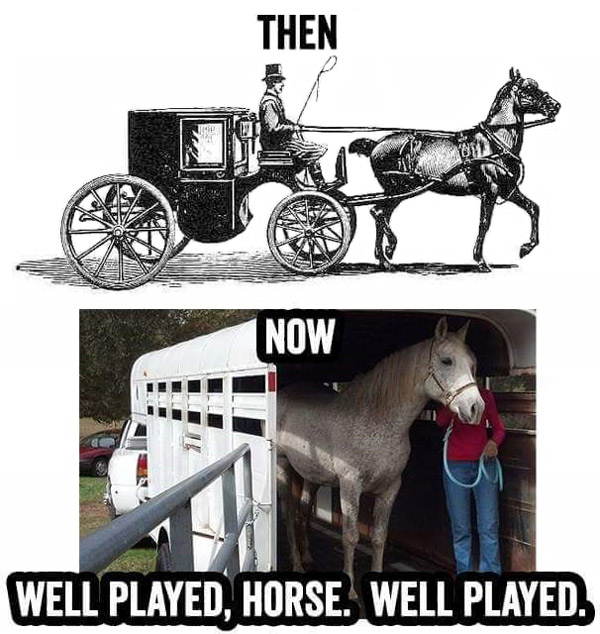 Well played, horse...