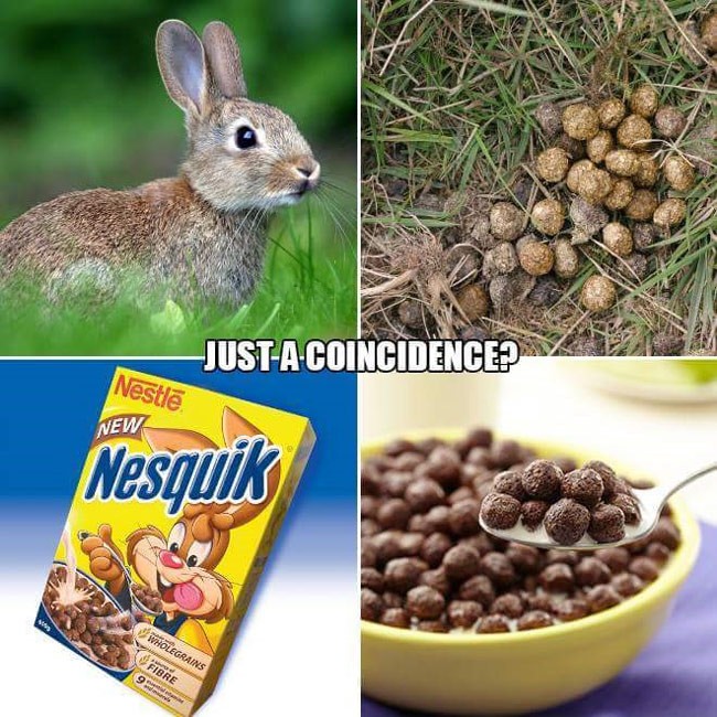 Photos or Videos that make you laugh or otherwise go WTF - Page 6 Nesquik-rabbit-poop-650x650