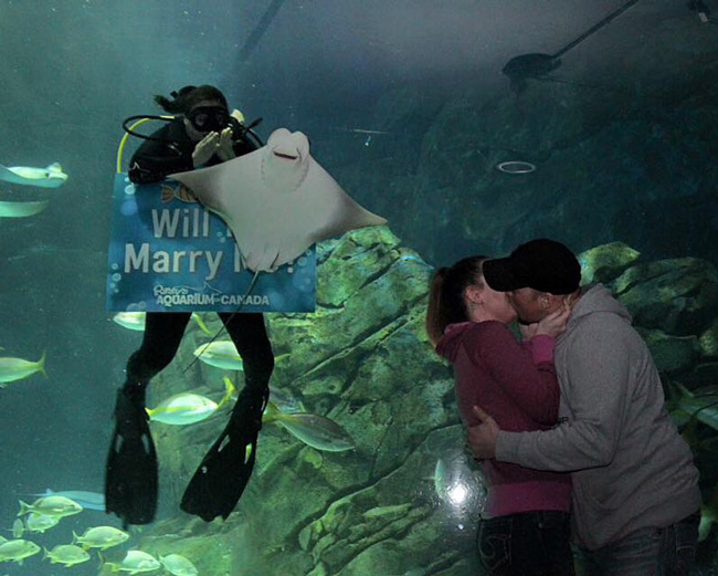My boyfriend proposed to me at Ripley's Aquarium in Toronto...this stingray photobombed every picture!