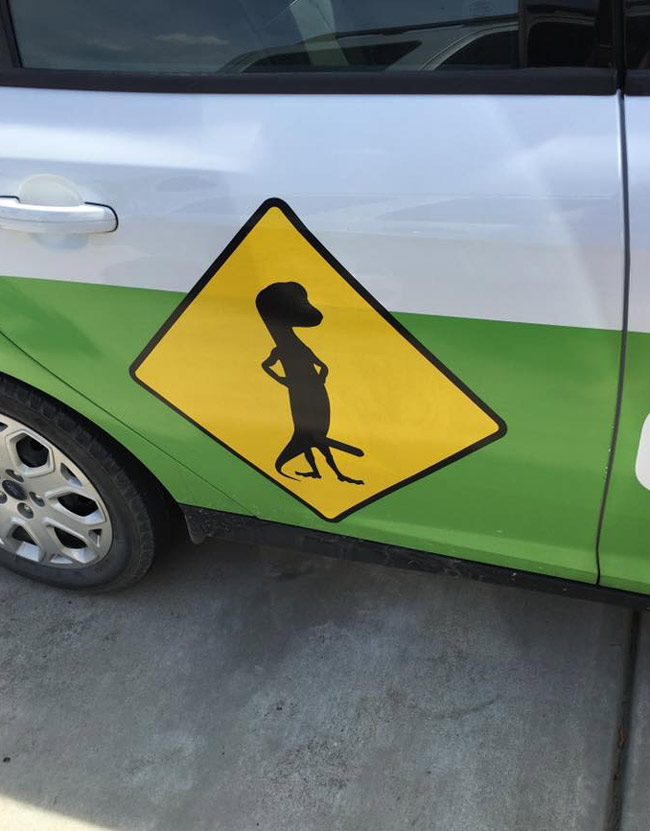 My brother's GEICO car has been vandalized...and he didn't know until I pointed it out to him. Who knows how long he's been driving around like this?